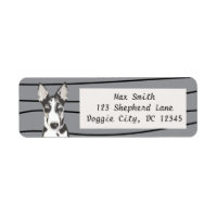 Shepherd Border Collie