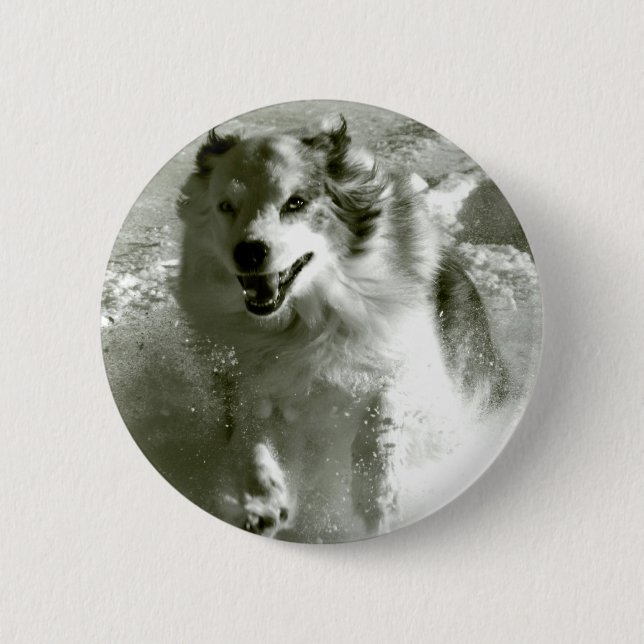 Shepherd Dog Running In Snow, 2 Inch Round Button (Front)