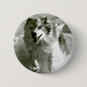 Shepherd Dog Running In Snow, 2 Inch Round Button
