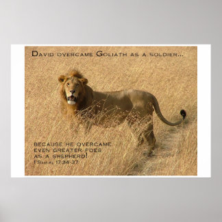 Shepherd Encouragement Poster