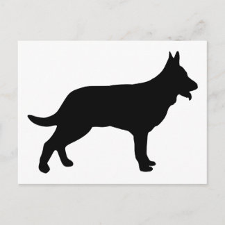 Shepherd Postcard