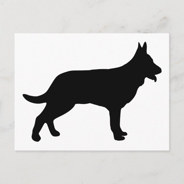 Shepherd Postcard (Front)