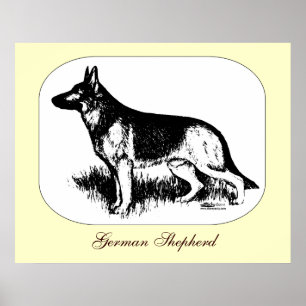 Shepherd Profile Poster