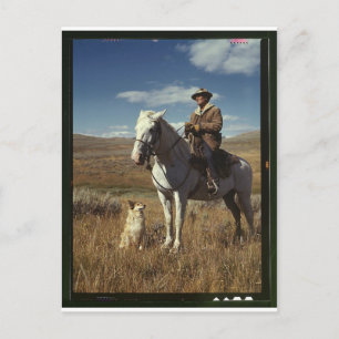 Shepherd with his horse and dog on Gravelly Range Postcard