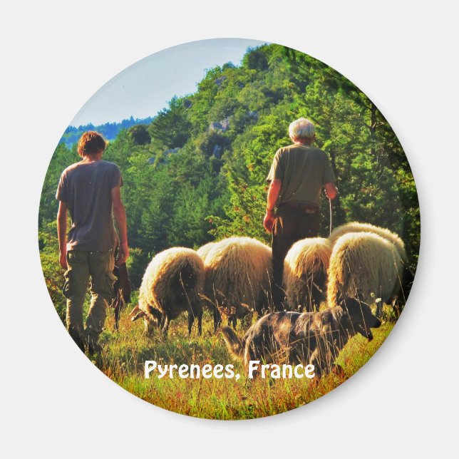 Shepherding in France Magnet (Front)