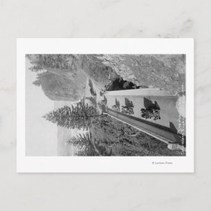 Shepherd's Dell on Columbia River Photograph Postcard