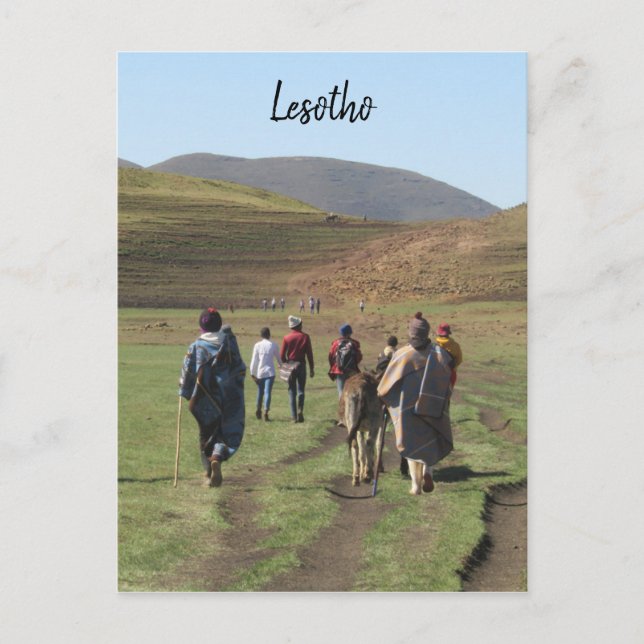 shepherds lesotho postcard (Front)