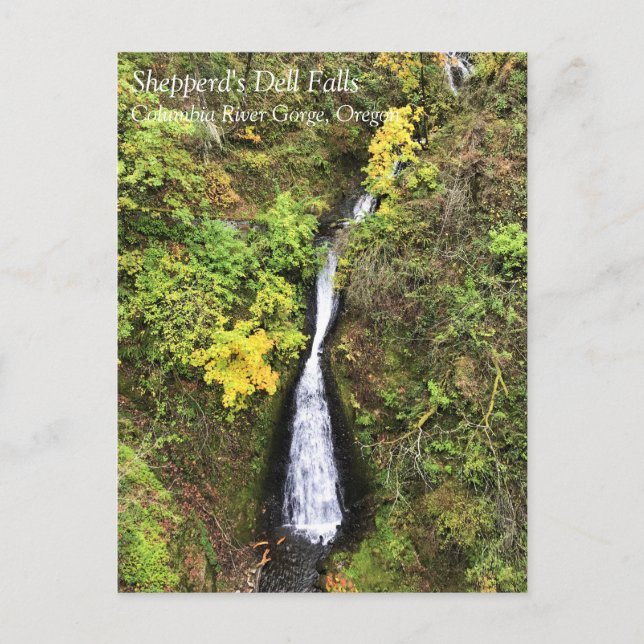 Shepperd's Dell Falls, Columbia River Gorge, OR Po Postcard (Front)