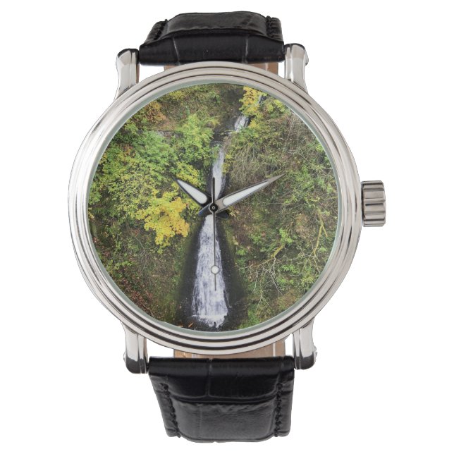 Shepperd's Dell Falls, Columbia River Gorge, OR Watch (Front)