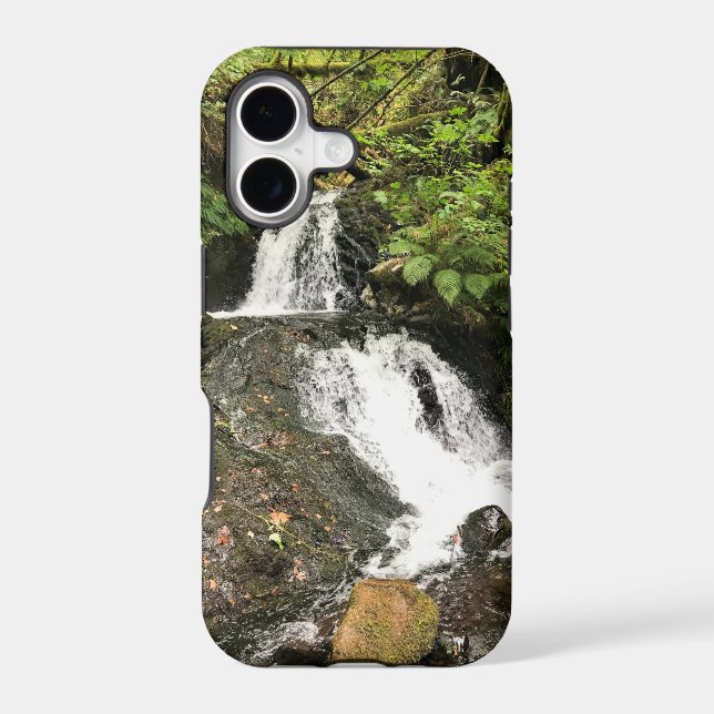 Shepperd's Dell Falls, OR (Back)