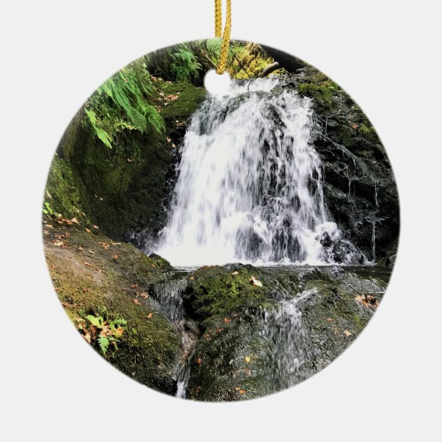 Shepperd's Dell Falls, OR Ceramic Ornament (Front)