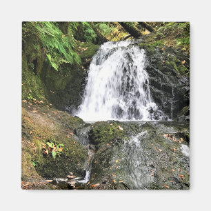 Shepperd's Dell Falls, Oregon Magnet