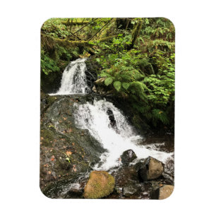Shepperd's Dell Falls, Oregon Magnet