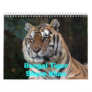 Shere-Khan Calendar, Bengal TigerShere Khan Calendar