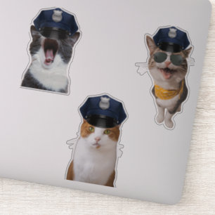 Sheriff Cat