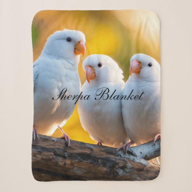 Sherpa Blanket (Front)