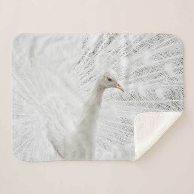Sherpa Blanket (Front (Horizontal))