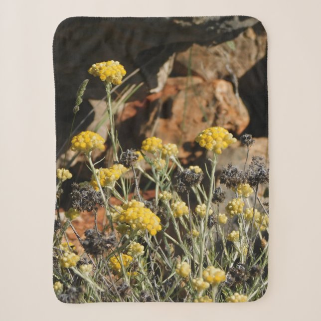 Sherpa Couverture (Devant)