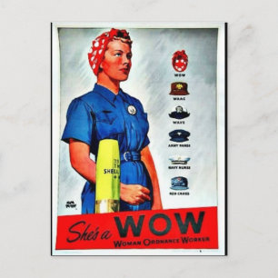 Shes A Wow Postcard