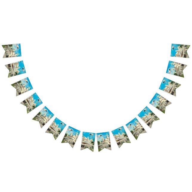 She's Cosmic Bunting Flags (All)