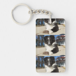 shet shp black and white puppy keychain