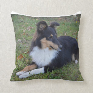 shet shp black white tan laying full throw pillow