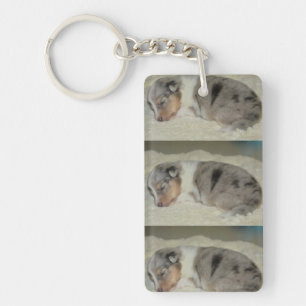 shet shp blue merle white tan puppy keychain