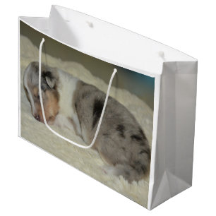 shet shp blue merle white tan puppy large gift bag