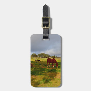Shetland Ponies And Chestnut, Luggage Tag