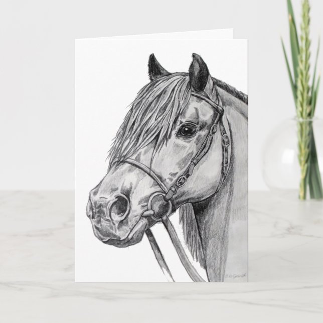 Shetland Pony Card (Front)