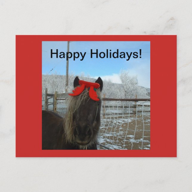 Shetland Pony Christmas Card (Front)