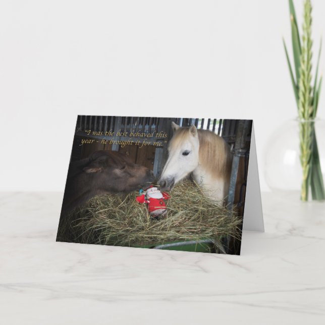 Shetland pony Christmas Holiday Card (Front)