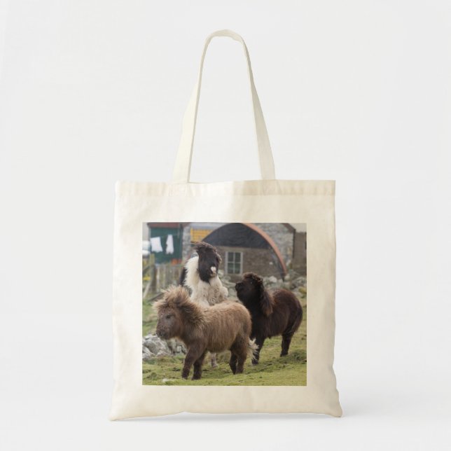 Shetland pony colts playing - Useful bag (Front)