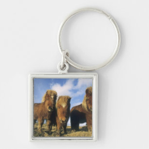 Shetland Pony, mainland Shetland Islands, Keychain