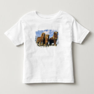 Shetland Pony, mainland Shetland Islands, Toddler T-shirt