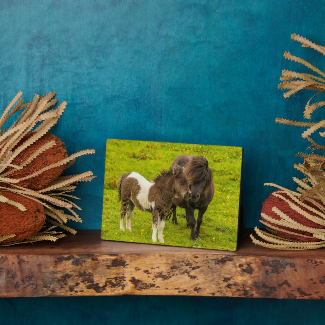 Shetland Pony Mother and Offspring Plaque (Side)