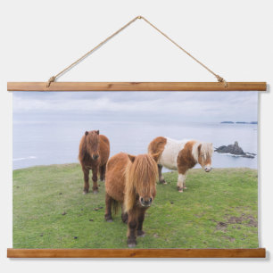 Shetland Pony on Pasture Near High Cliffs Hanging Tapestry