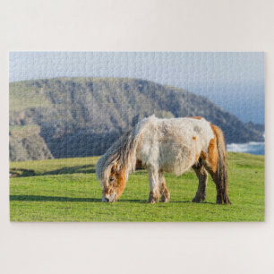 Shetland Pony on Pasture Near High Cliffs Jigsaw Puzzle