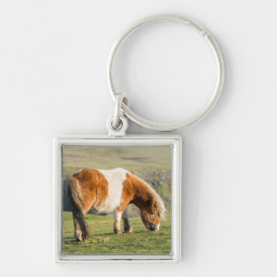 Shetland Pony On Pasture Near High Cliffs Keychain