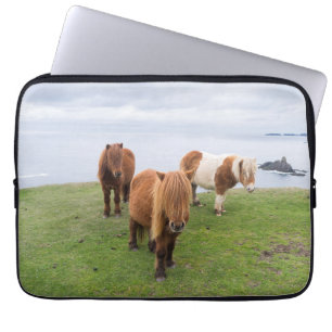 Shetland Pony on Pasture Near High Cliffs Laptop Sleeve