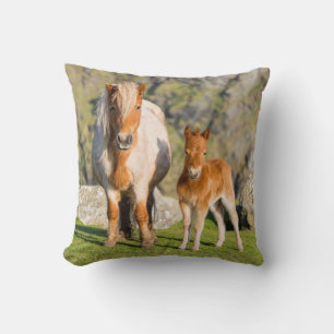 Shetland Pony On Pasture Near High Cliffs, Mare 2 Throw Pillow