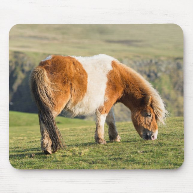 Shetland Pony On Pasture Near High Cliffs Mouse Pad (Front)