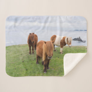 Shetland Pony on Pasture Near High Cliffs Sherpa Blanket