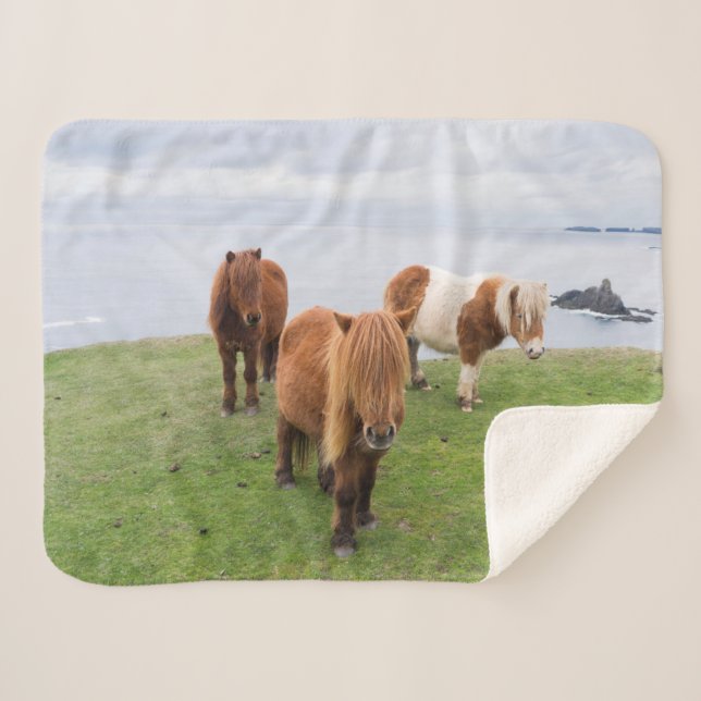 Shetland Pony on Pasture Near High Cliffs Sherpa Blanket (Front (Horizontal))
