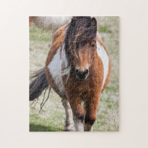 Shetland Pony, Shetland Islands Jigsaw Puzzle
