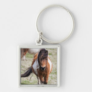 Shetland Pony, Shetland Islands Keychain