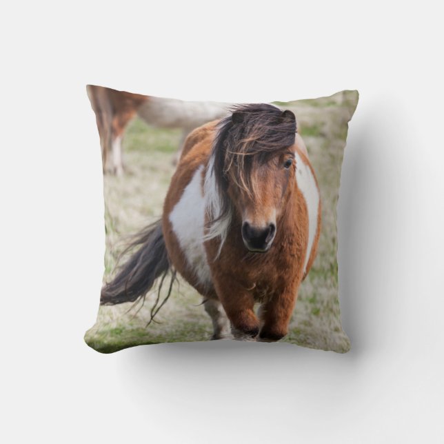 Shetland Pony, Shetland Islands Throw Pillow (Front)