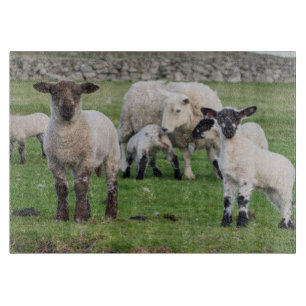 Shetland Sheep Cutting Board