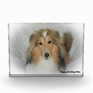 Shetland Sheep Dog Photo Block