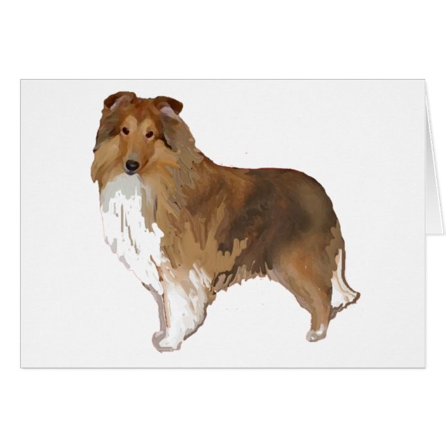 Shetland Sheepdog (Front Horizontal)